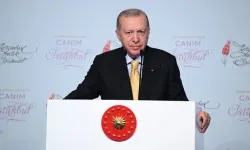 Erdoğan imzaladı: İki ilin sınırı yeniden belirlendi
