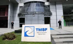 TMSF Assan Group'u satışa çıkardı