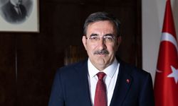 Cumhurbaşkanı Yardımcısı Yılmaz'ın emekli maaşı açıklaması ne anlama geliyor? Zam var mı, yok mu?