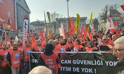 Türkiye'de sendikalı işçi sayısı açıklandı: 17,6 milyon çalışanın 2,4 milyonu sendika üyesi