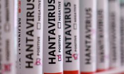 DSÖ açıkladı! Hantavirüs salgınında sona yaklaşıldı