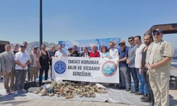 Gemlik’te denizinde dip bucak temizlendi