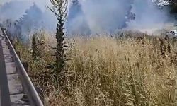 İzmir-Bursa kara yolunda korkutan alev