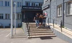 Bursa'da 33 yıl hapis cezasıyla aranan şahıs polisten kurtulmak için kayısı topluyormuş gibi yaptı