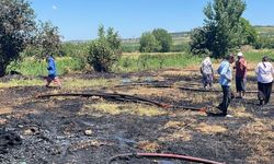 Bursa'da anız yangını 20 dönümü küle çevirdi