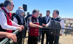 Tarım ve Orman Bakanlığı'ndan 1600 üreticiye 160 bin küçükbaş hayvan desteği