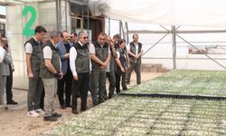 Bursa’da yanan ormanlar, Eskişehir’de üretilen fidanlarla yeşillenecek!