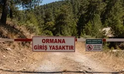 Bursa’da ormanlara giriş yasağı başladı!