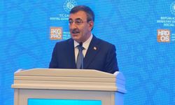 "AB, diğer aday ülkeler ile Türkiye'ye aynı kriterleri uygulamalı"