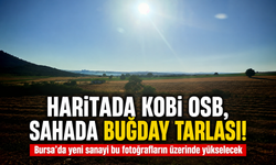 Haritada KOBİ OSB, sahada buğday tarlası! Bursa’da yeni sanayi bu fotoğrafların üzerinde yükselecek
