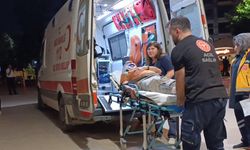 Bursa'da erik toplarken ağaçtan düşüp yaralandı