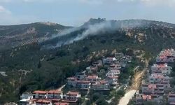 Balıkesir Burhaniye’deki zeytinlik yangını kontrol altına alındı