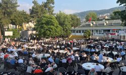 158 yıllık çınarda mezunlar günü buluşması