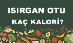 Isırgan Otu kaç kalori? Isırgan Otunun besin değeri nedir?