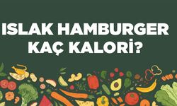 Islak Hamburger kaç kalori? Islak Hamburgerin besin değerleri neler?
