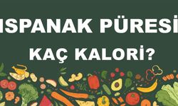 Ispanak Püresi kaç kalori? Ispanak Püresinin besin değeri nedir?