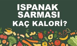 Ispanak Sarması kaç kalori? Ispanak Sarmasının besin değeri nedir?