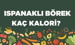 Ispanaklı Börek kaç kalori? Ispanaklı Böreğin besin değerleri neler?
