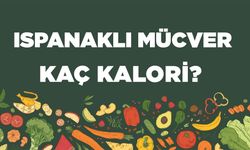 Ispanaklı Mücver kaç kalori? Ispanaklı Mücverin besin değerleri neler?