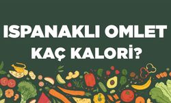 Ispanaklı Omlet kaç kalori? Ispanaklı Omletin besin değerleri neler?