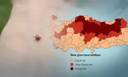 Türkiye'de kene alarmı büyüyor! En riskli iller belli oldu, Tarım Bakanlığı uyardı! 2026 Türkiye Kene Risk Haritası