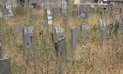 Gülcan Yazıcı Kimdir, nasıl öldü? 20 yıllık kayıp dosyası nasıl çözüldü