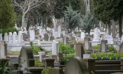 Türkiye’de ölümlerin en büyük nedeni dolaşım sistemi: TÜİK açıkladı