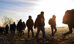 Yurt dışından Türkiye'ye 393 bin 829 kişi göç etti