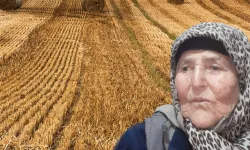 Tarlada uyuyan kadın iş makinesinin altında can verdi