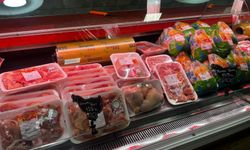 Bursa'da piknik sezonu başladı, beyaz ete olan ilgi arttı!