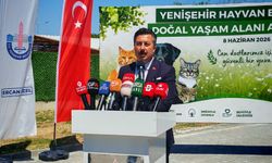 Yenişehir'de can dostların modern yuvası hizmete açıldı