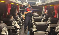 81 ilde 355 düzensiz göçmen yakalandı