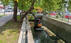 Gemlik Çarşı Deresi'nde temizlik çalışmaları başladı