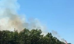 Kestel'deki orman yangını söndürüldü