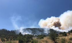 Balıkesir Kepsut'ta korkutan orman yangını!