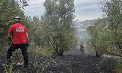 Bursa'da orman yangını... Evde çıktı, zeytinliği yaktı!