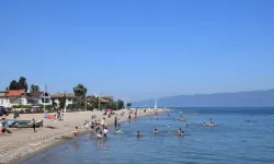 Bursa'da 4 plaj için dikkat çeken veri: Bir noktada E.coli sınırın 21 katı