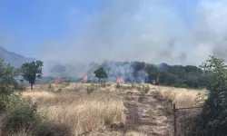 Çanakkale'de orman yangını