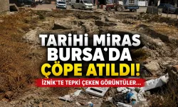 Tarihi miras Bursa'da çöpe atıldı! İznik'te tepki çeken görüntüler...