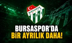 Bursaspor'da bir ayrılık daha!