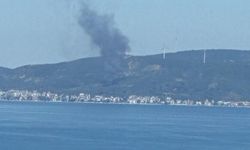 Dumanlar Bursa'dan göründü... Yalova'da ormanlık alanda yangın!