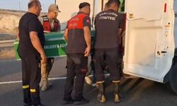 Günübirlik gezi faciayla bitti: 3 ölü, 3'ü çocuk 8 yaralı