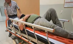 Bursa'da ahır çatısından düşen 65 yaşındaki adam hayatını kaybetti...