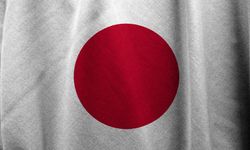 Japonya'da ahşap evde yangın!