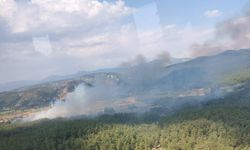 Muğla'da tarım arazisinde çıkan yangın ormana sıçradı