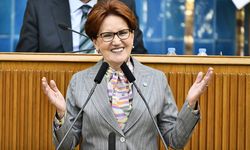 Meral Akşener Vakfı resmen kuruldu: Resmi Gazete'de yayımlandı