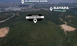 Başkan Şadi Özdemir'den Kayapa'daki katı atık tesisi projesine itiraz: "Karar yeniden değerlendirilmeli"