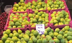 Bursa'da taze incir tezgâhlarda yerini aldı! Kilosu 200-300 TL'den satışta