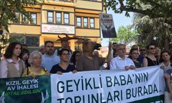 Bursa'da kızıl geyik tepkisi: "Sadece bir türü değil, yaşamın tamamını savunuyoruz"