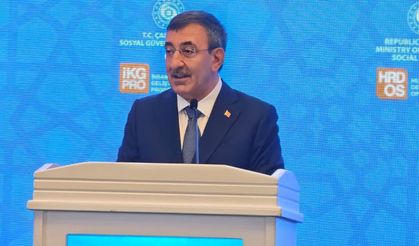 "AB, diğer aday ülkeler ile Türkiye'ye aynı kriterleri uygulamalı"